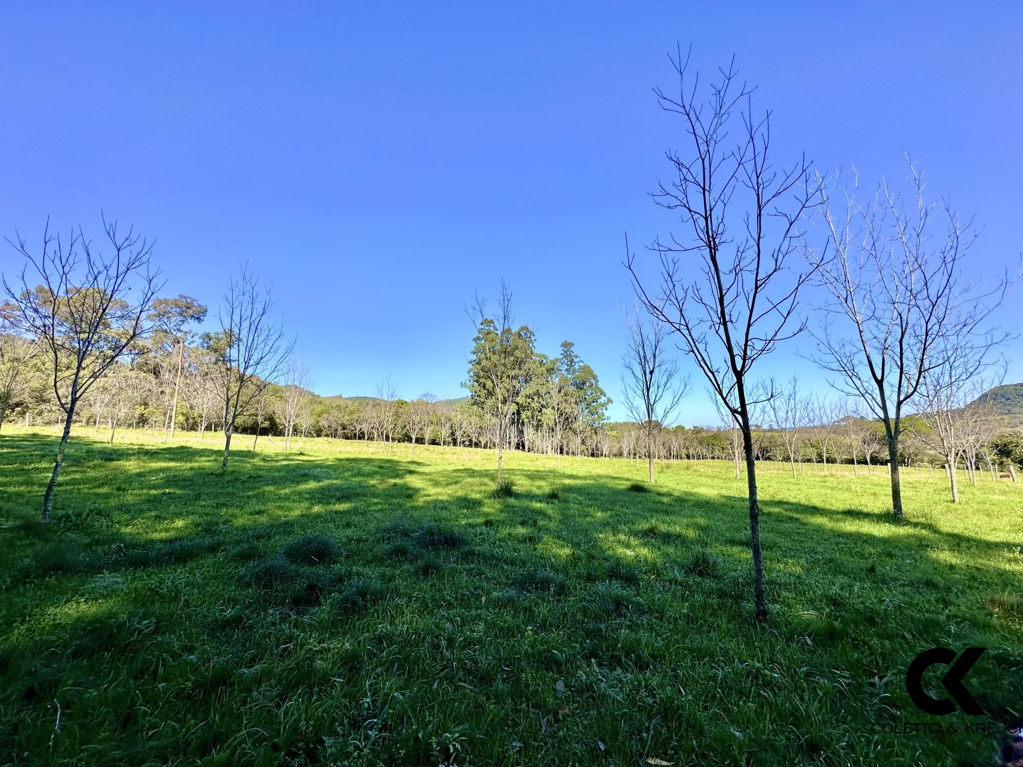 Fazenda à venda com 4 quartos, 240000m² - Foto 18