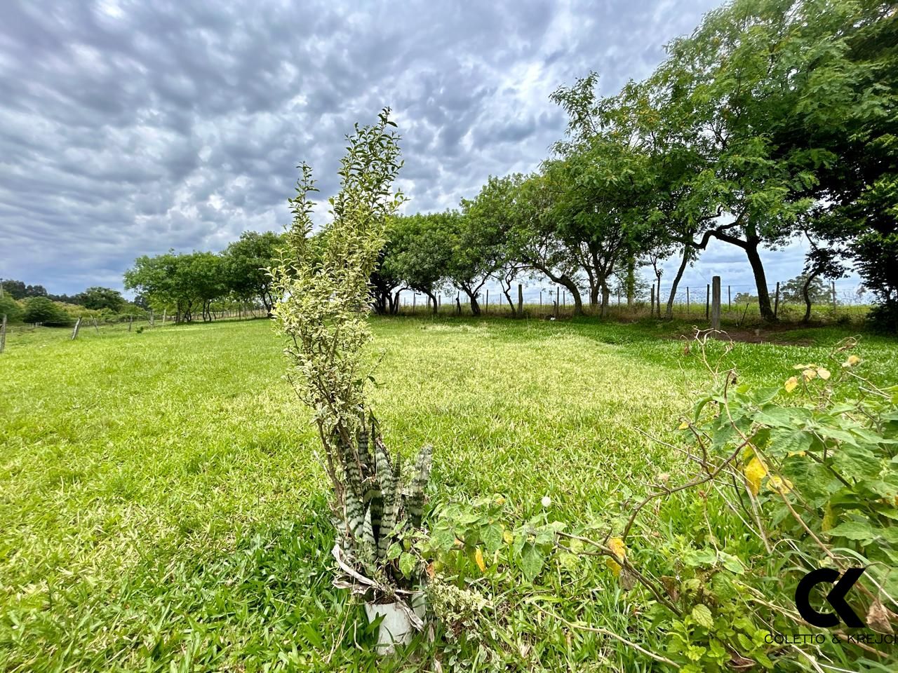 Fazenda à venda com 3 quartos, 15000m² - Foto 3