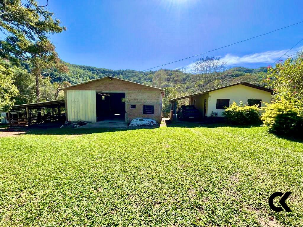 Fazenda à venda com 4 quartos, 240000m² - Foto 6