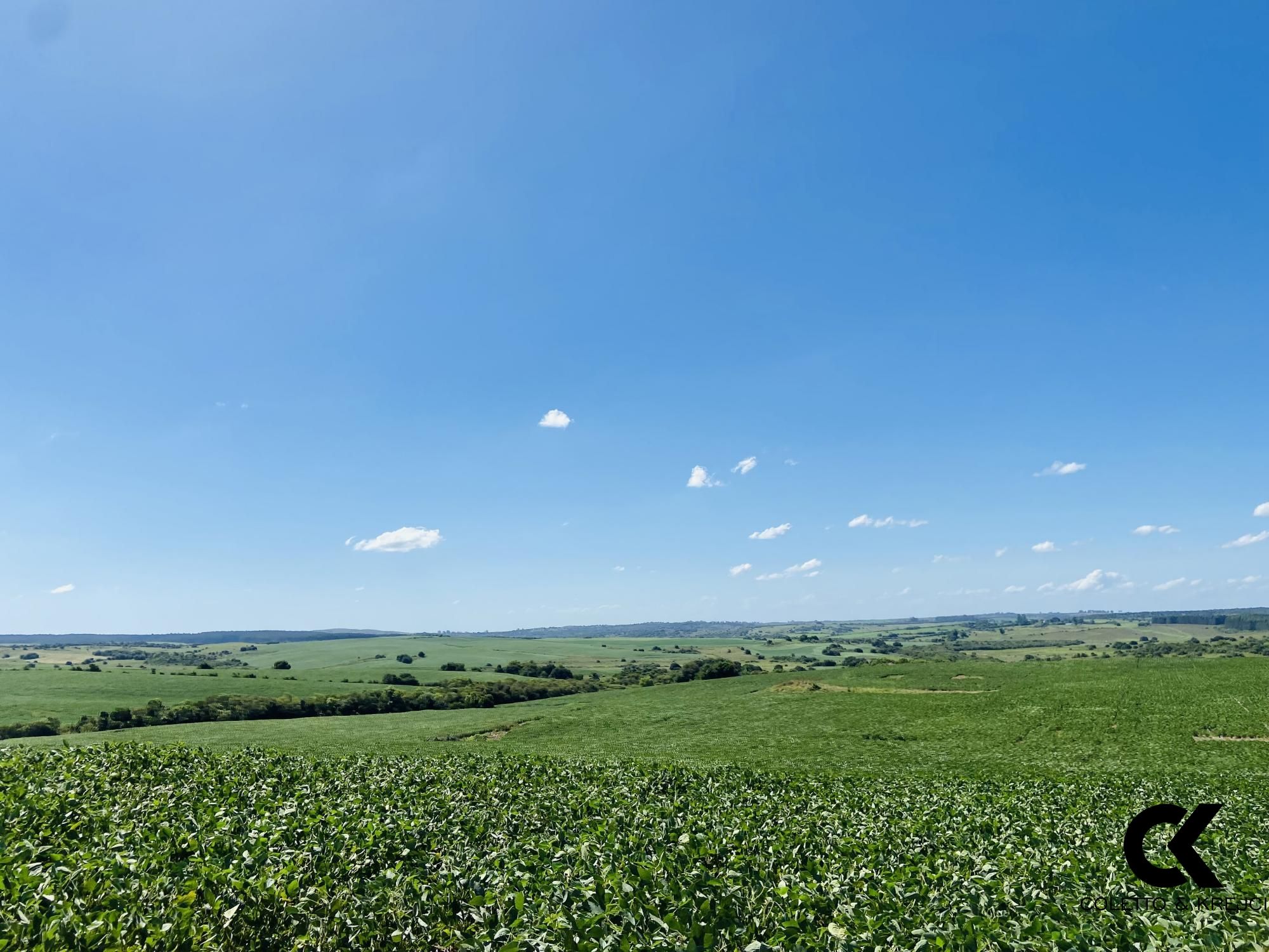 Fazenda à venda com 7 quartos, 8750000m² - Foto 8