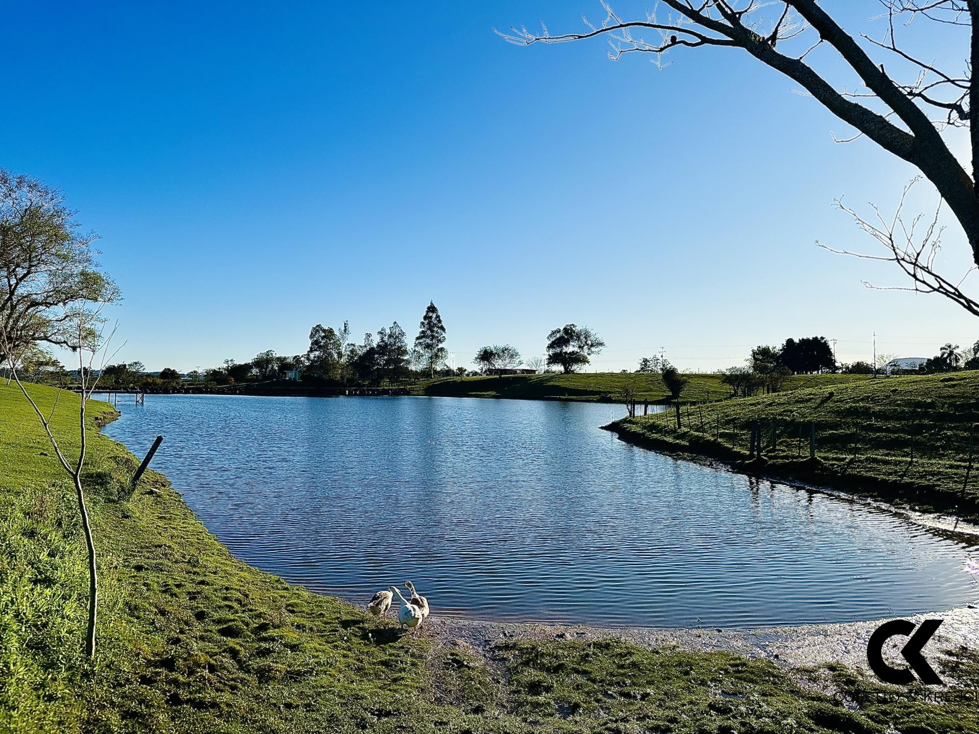 Fazenda à venda com 3 quartos, 54500m² - Foto 18