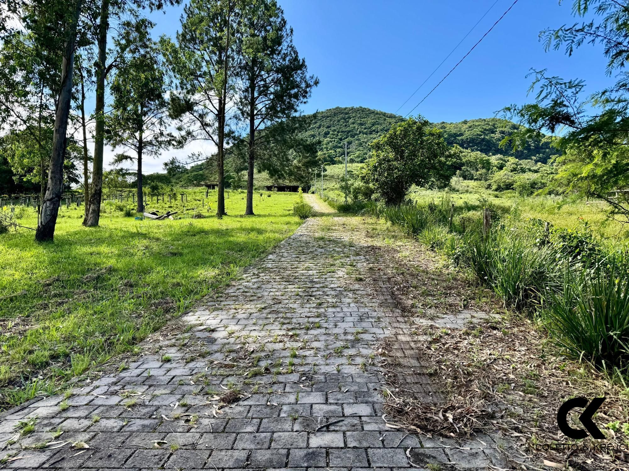 Fazenda à venda, 300m² - Foto 20