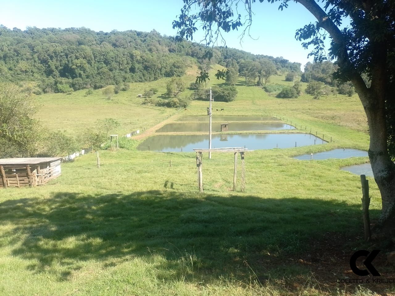 Fazenda à venda com 2 quartos, 42m² - Foto 17