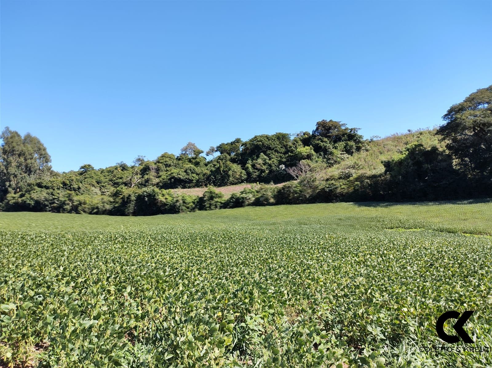 Loteamento e Condomínio à venda, 600000m² - Foto 3