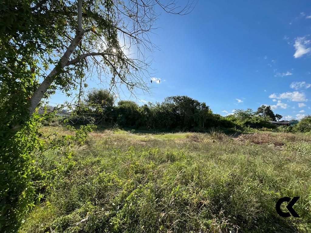 Terreno, 1404 m² - Foto 4