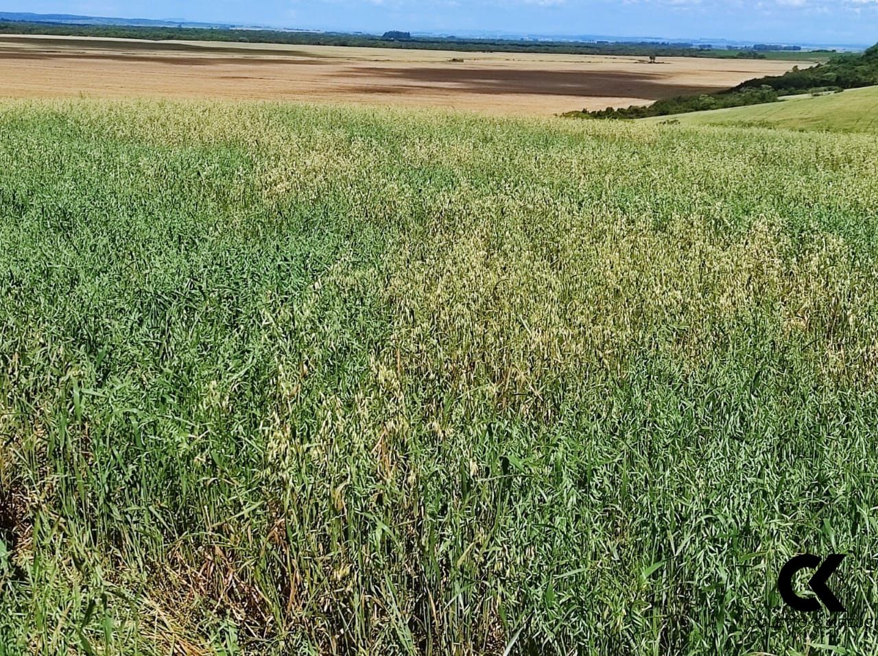 Fazenda à venda com 3 quartos, 20000000m² - Foto 8