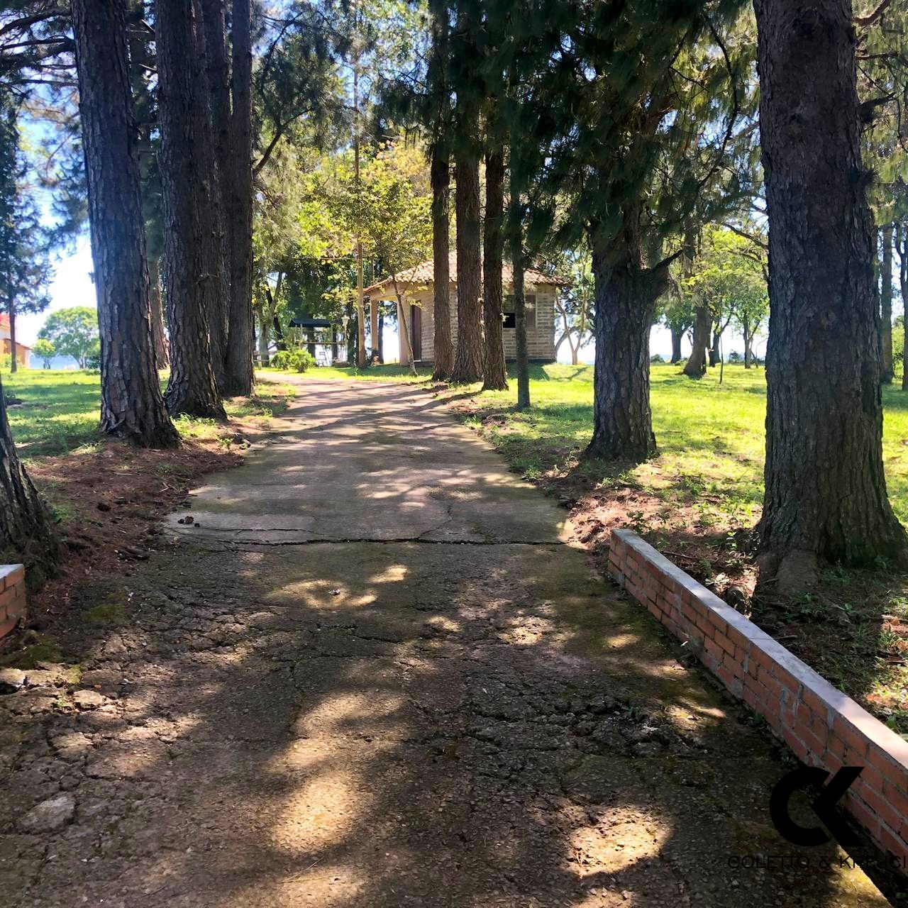 Fazenda à venda com 4 quartos, 130000m² - Foto 5