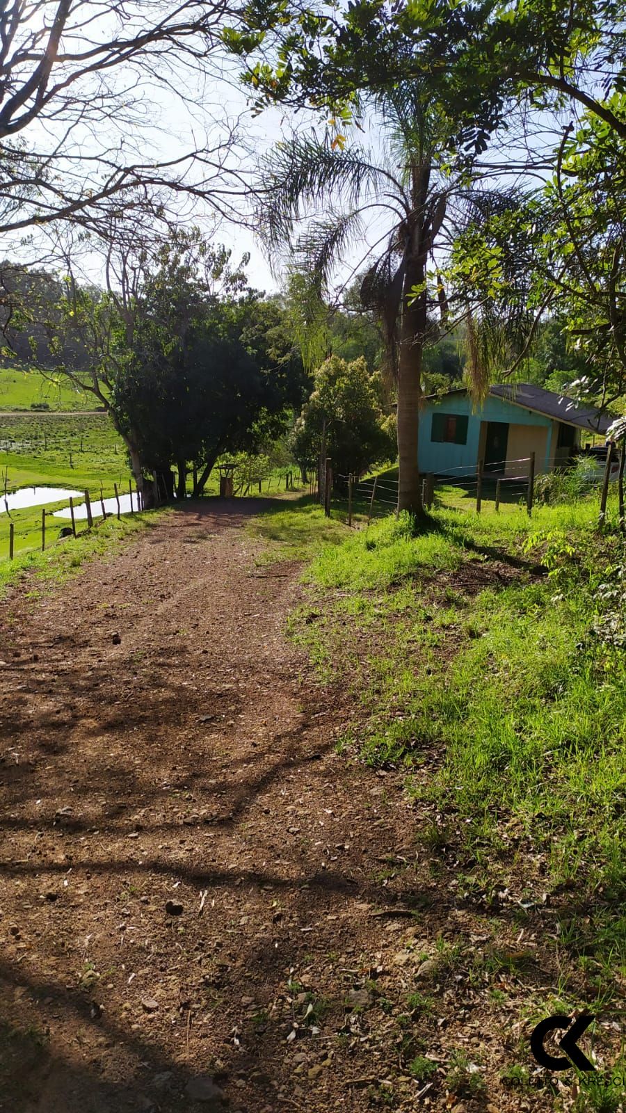 Fazenda à venda com 2 quartos, 42m² - Foto 13