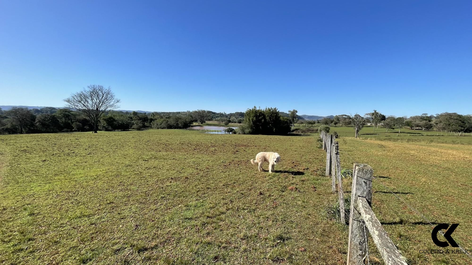 Loteamento e Condomínio à venda, 229000m² - Foto 8