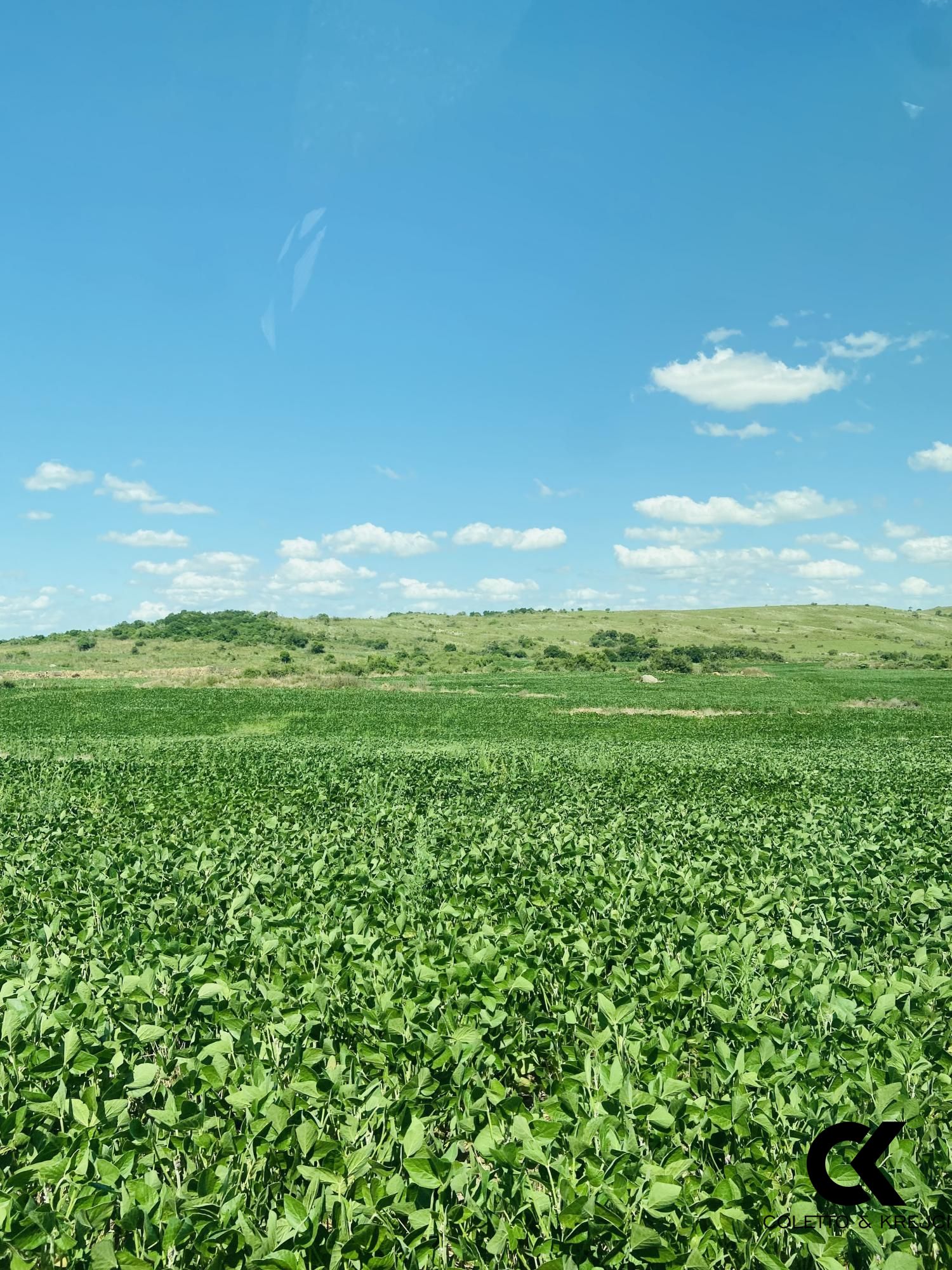 Fazenda à venda com 7 quartos, 8750000m² - Foto 5