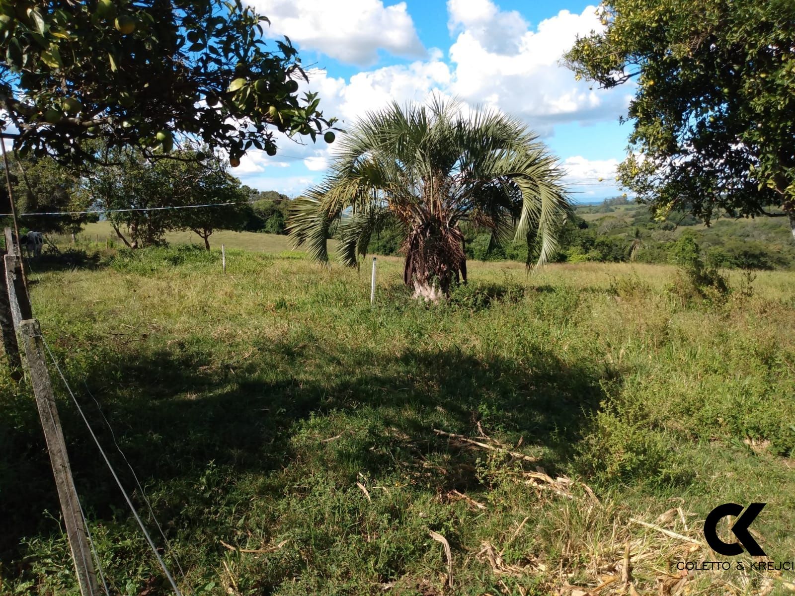 Fazenda à venda com 3 quartos, 30000m² - Foto 12