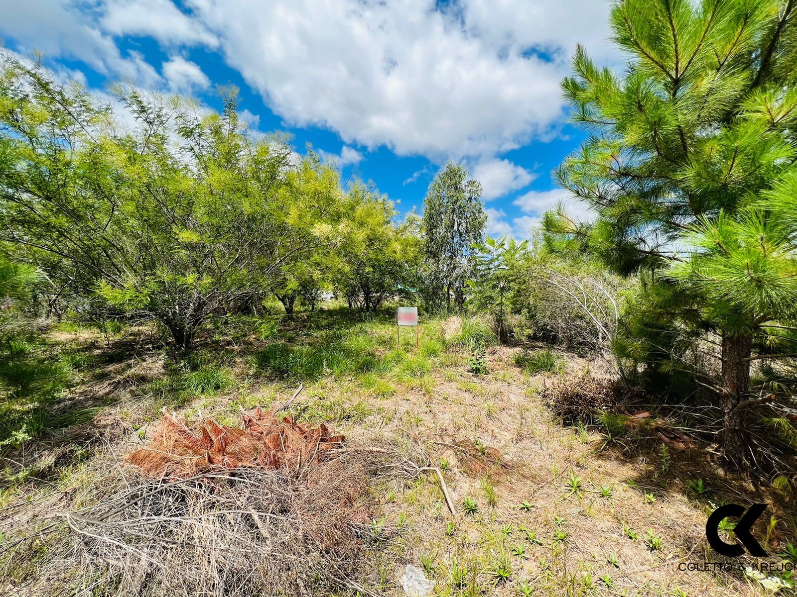 Terreno à venda, 354m² - Foto 1