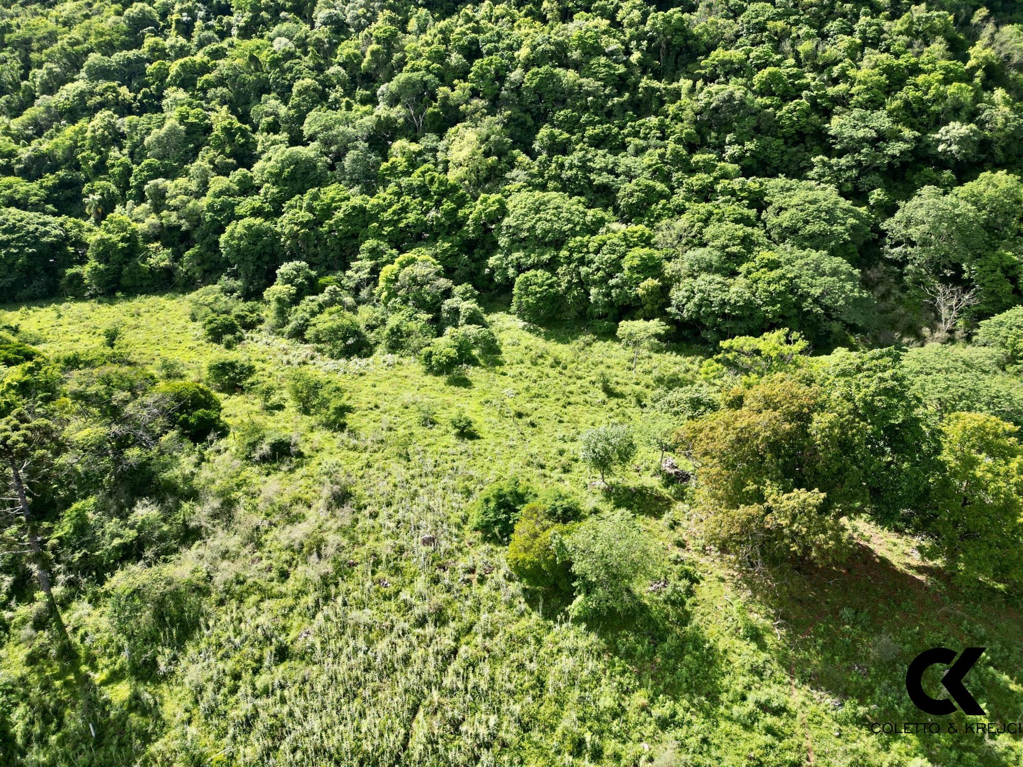 Fazenda à venda, 300m² - Foto 8