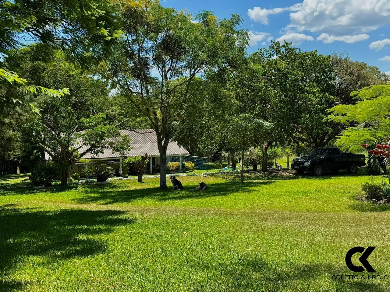 Chácara, 4 quartos, 13 hectares - Foto 14