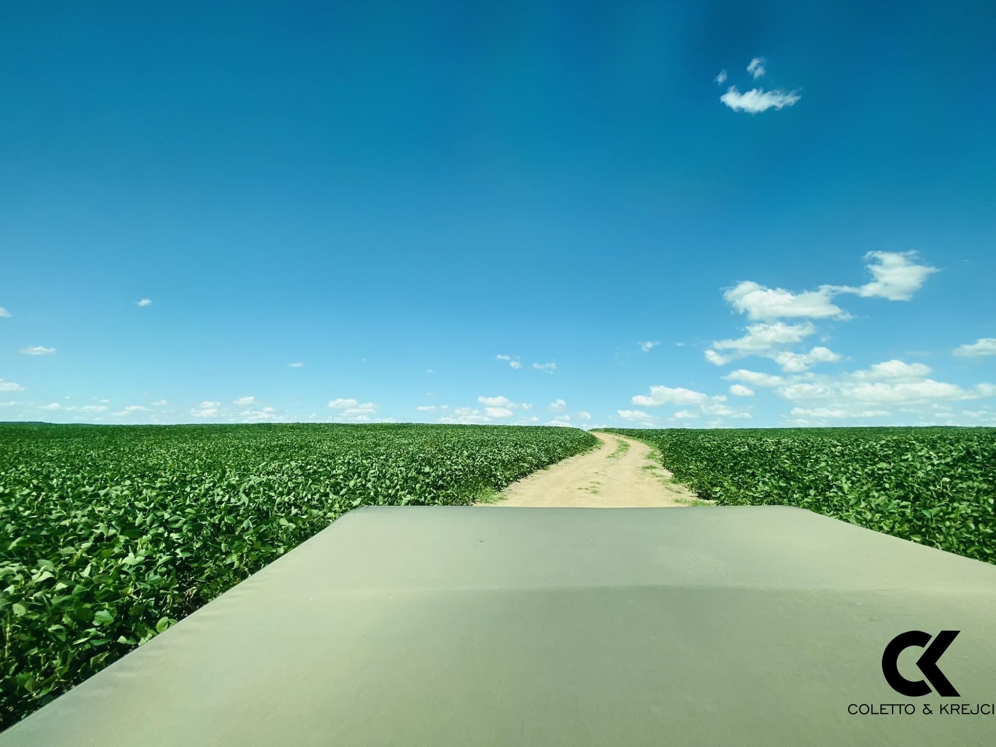 Fazenda à venda com 7 quartos, 8750000m² - Foto 7