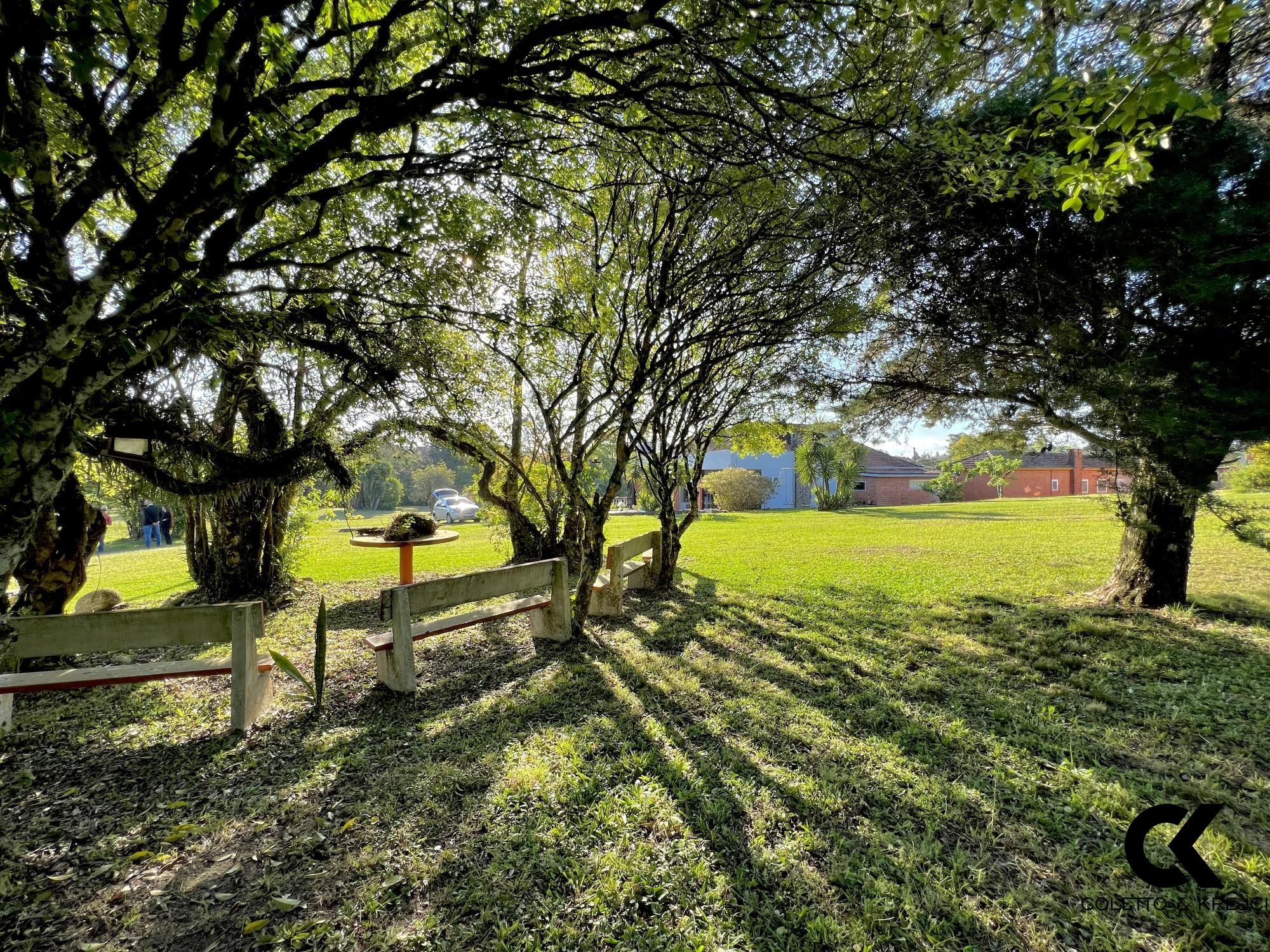 Fazenda à venda com 3 quartos, 242m² - Foto 6