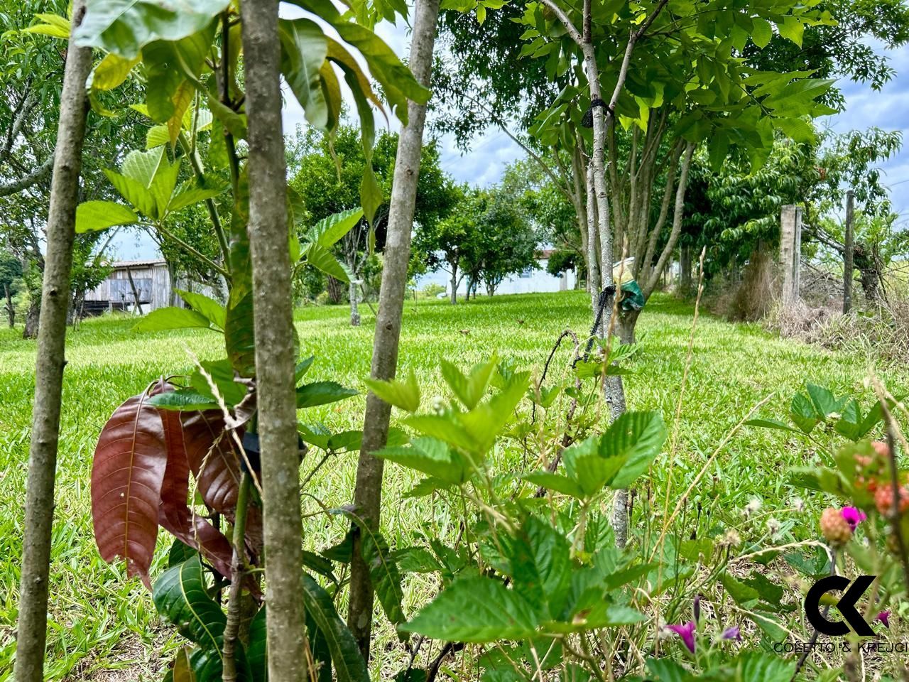 Fazenda à venda com 3 quartos, 15000m² - Foto 21