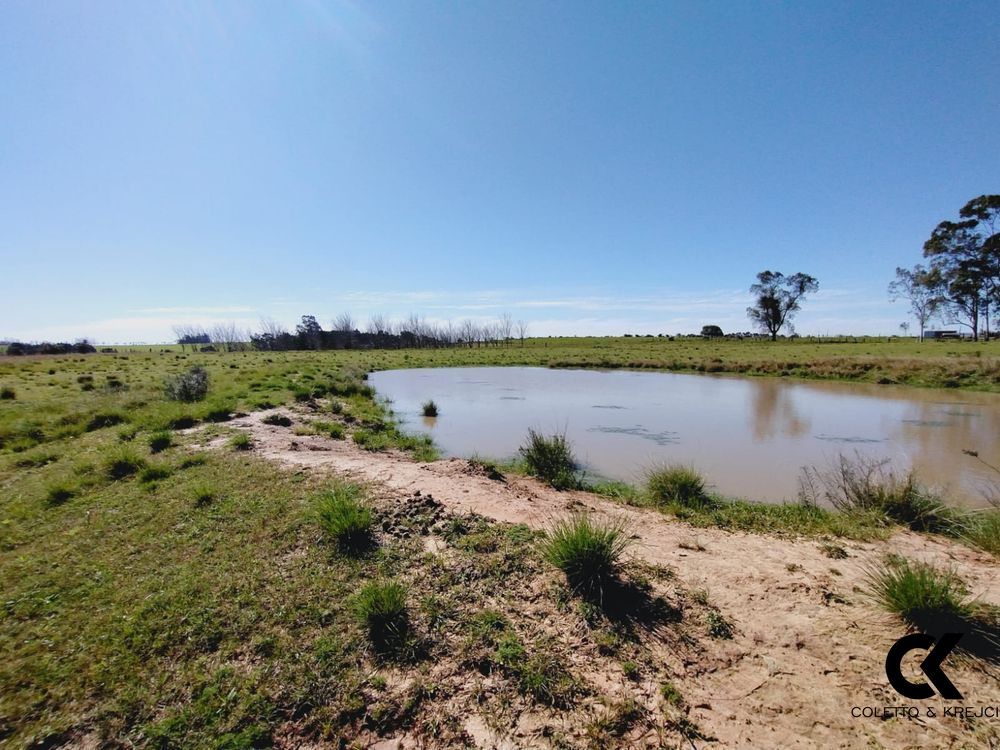 Chácara, 12 m² - Foto 10