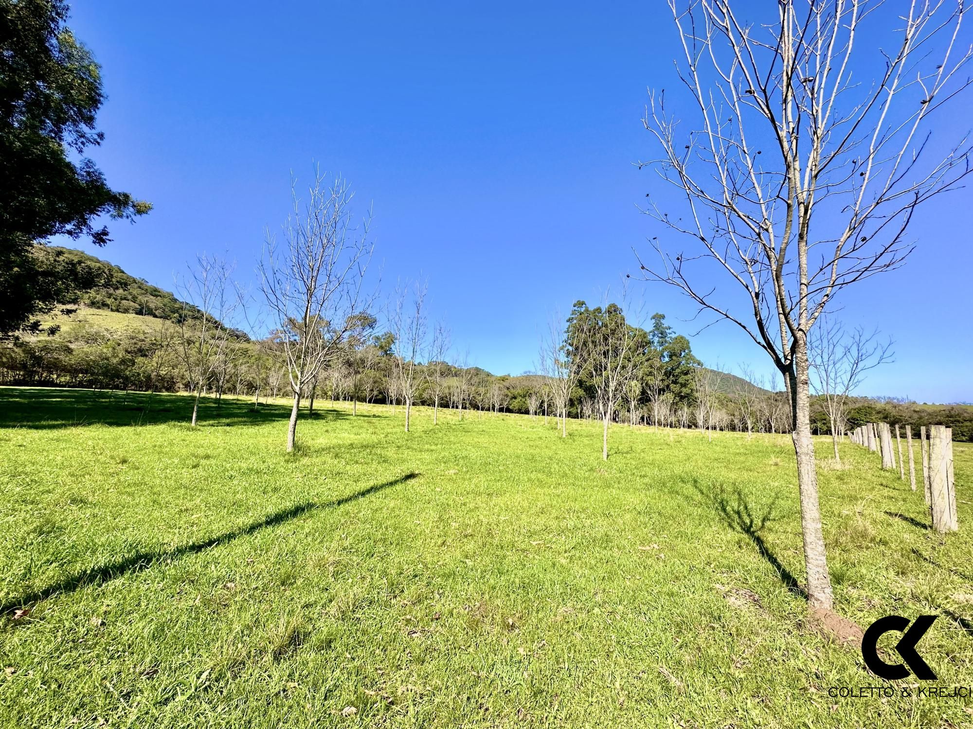 Fazenda à venda com 4 quartos, 240000m² - Foto 19