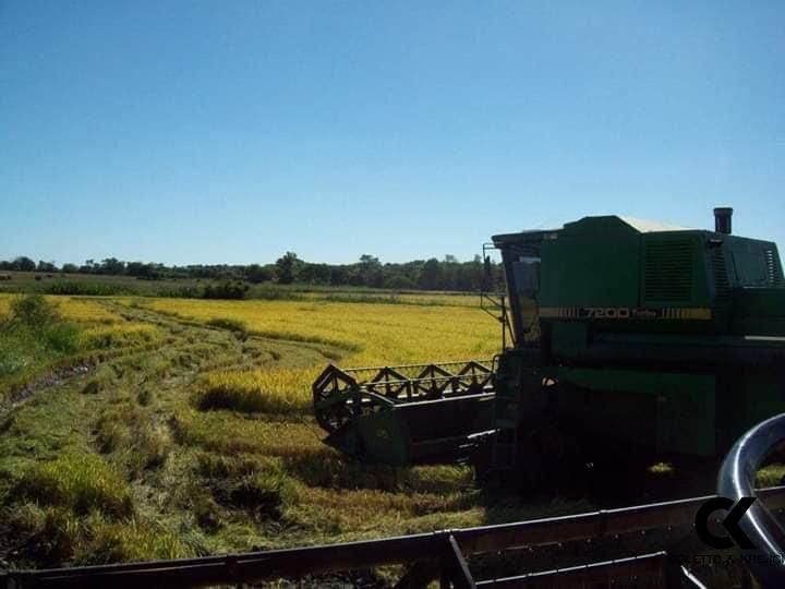 Fazenda-Sítio-Chácara, 145 hectares - Foto 2