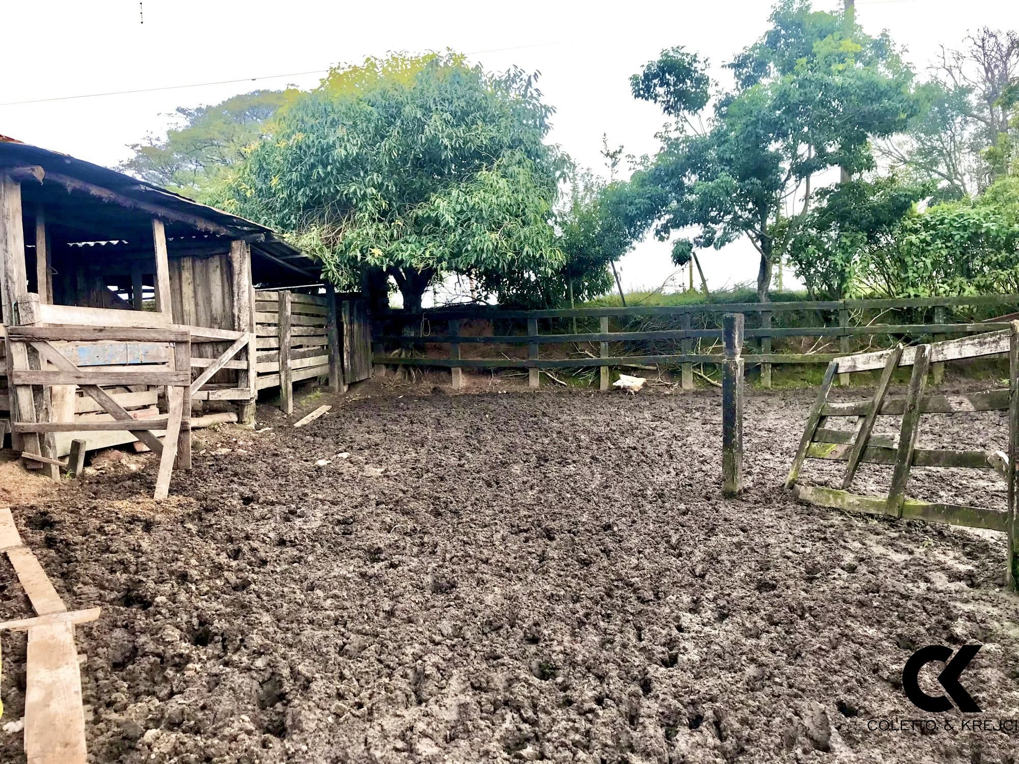 Fazenda à venda com 3 quartos, 185000m² - Foto 9