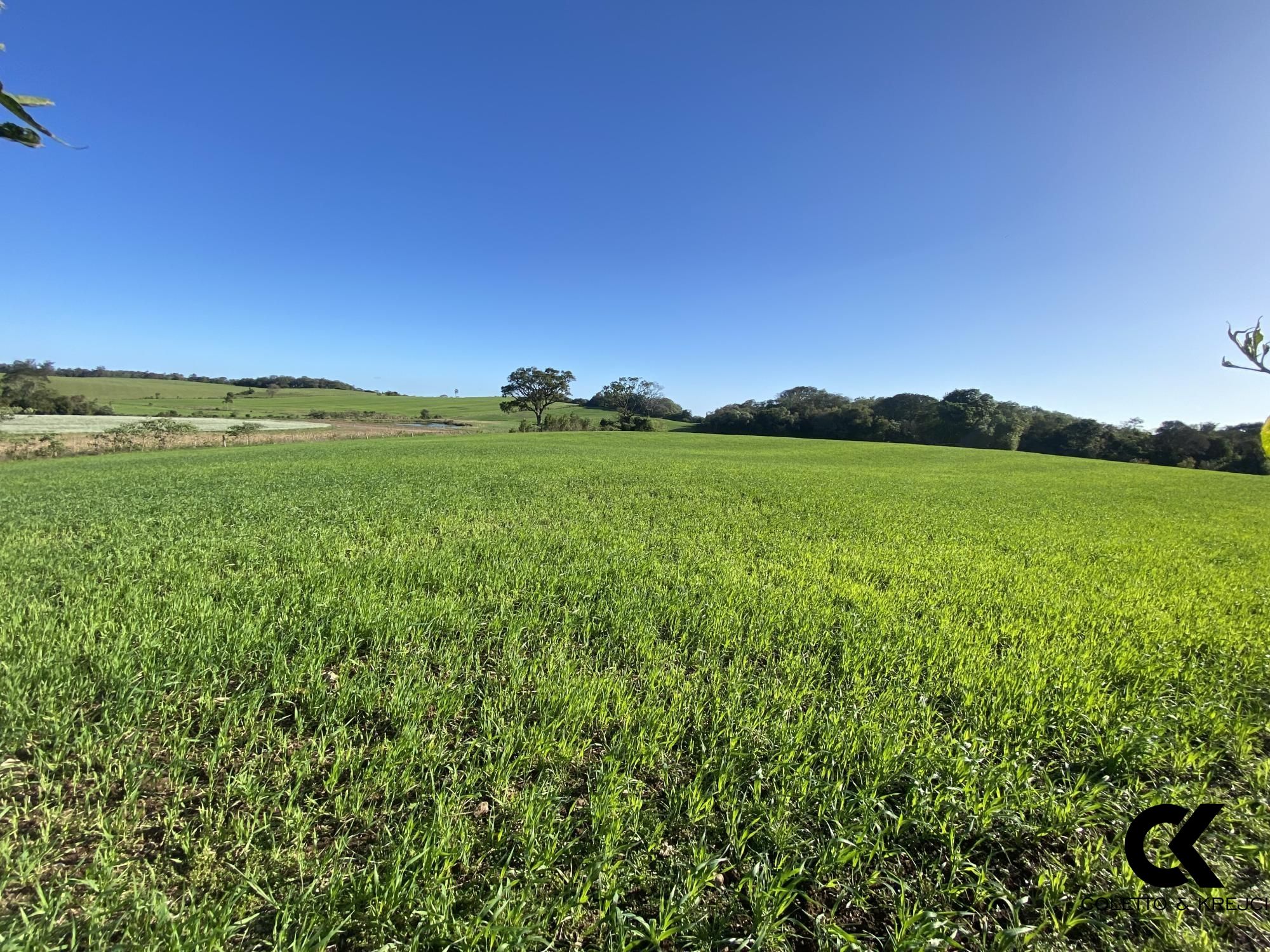 Sítio, 2 hectares - Foto 4