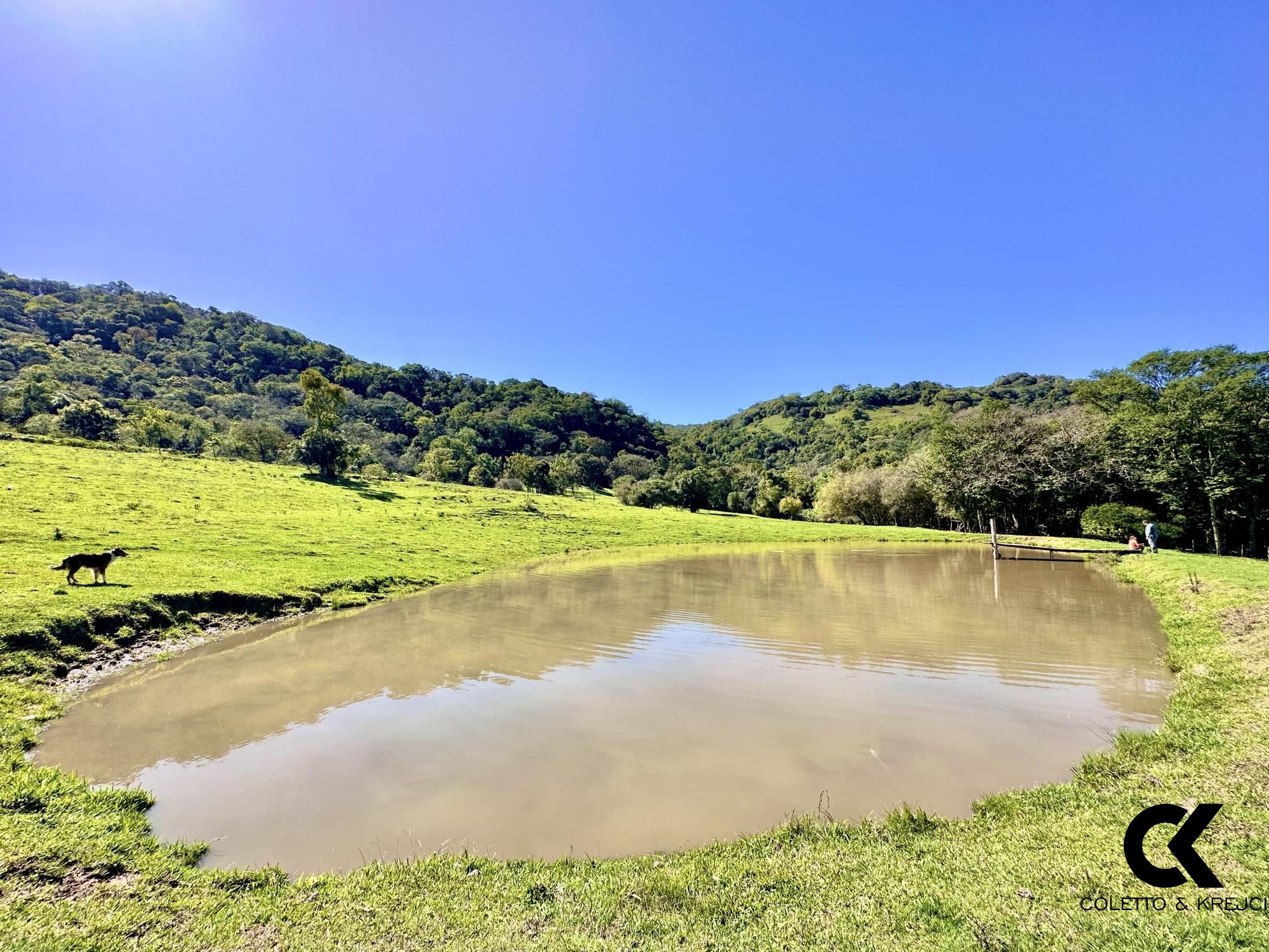 Fazenda à venda com 4 quartos, 240000m² - Foto 24