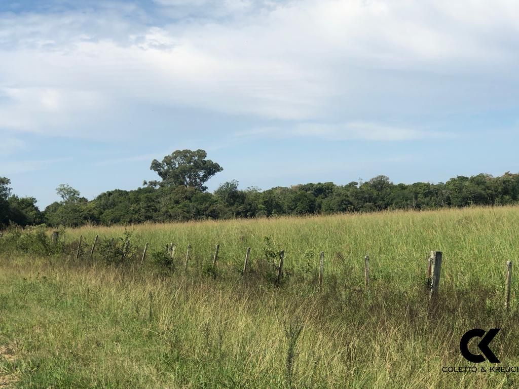 Fazenda à venda com 3 quartos, 32750000m² - Foto 6