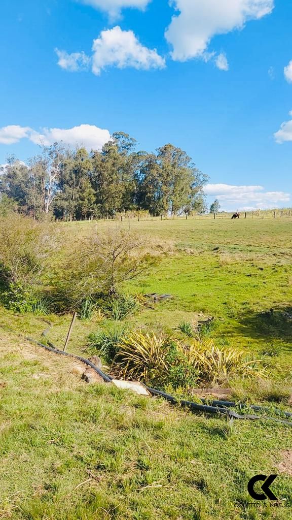 Fazenda à venda com 3 quartos, 195m² - Foto 18