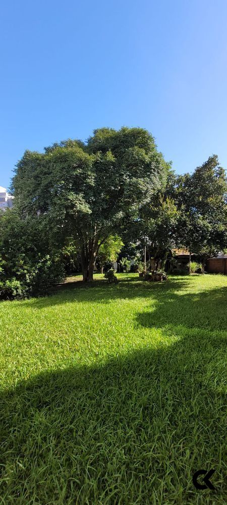 Terreno, 976 m² - Foto 4