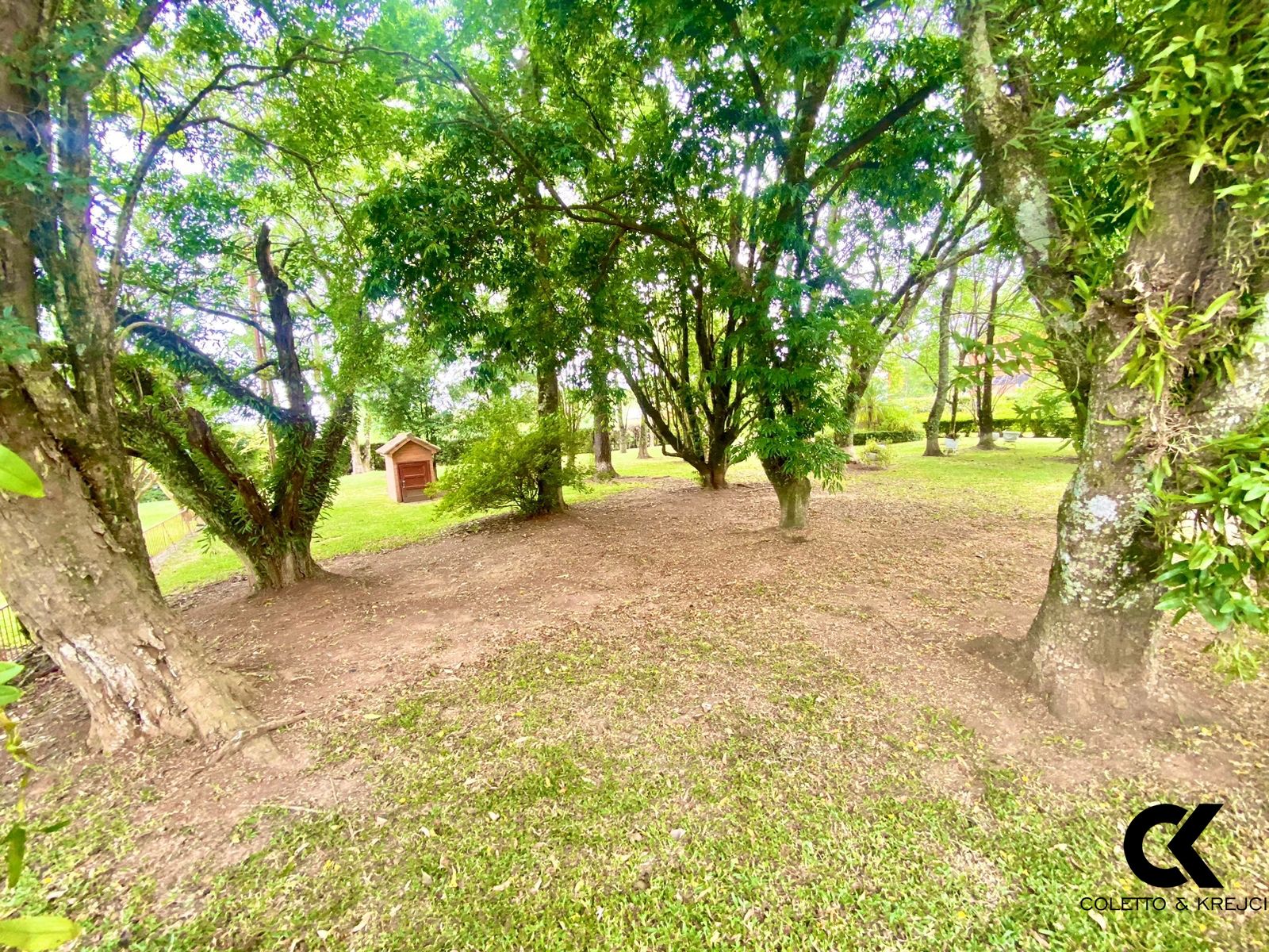 Chácara, 3 quartos, 6000 m² - Foto 9