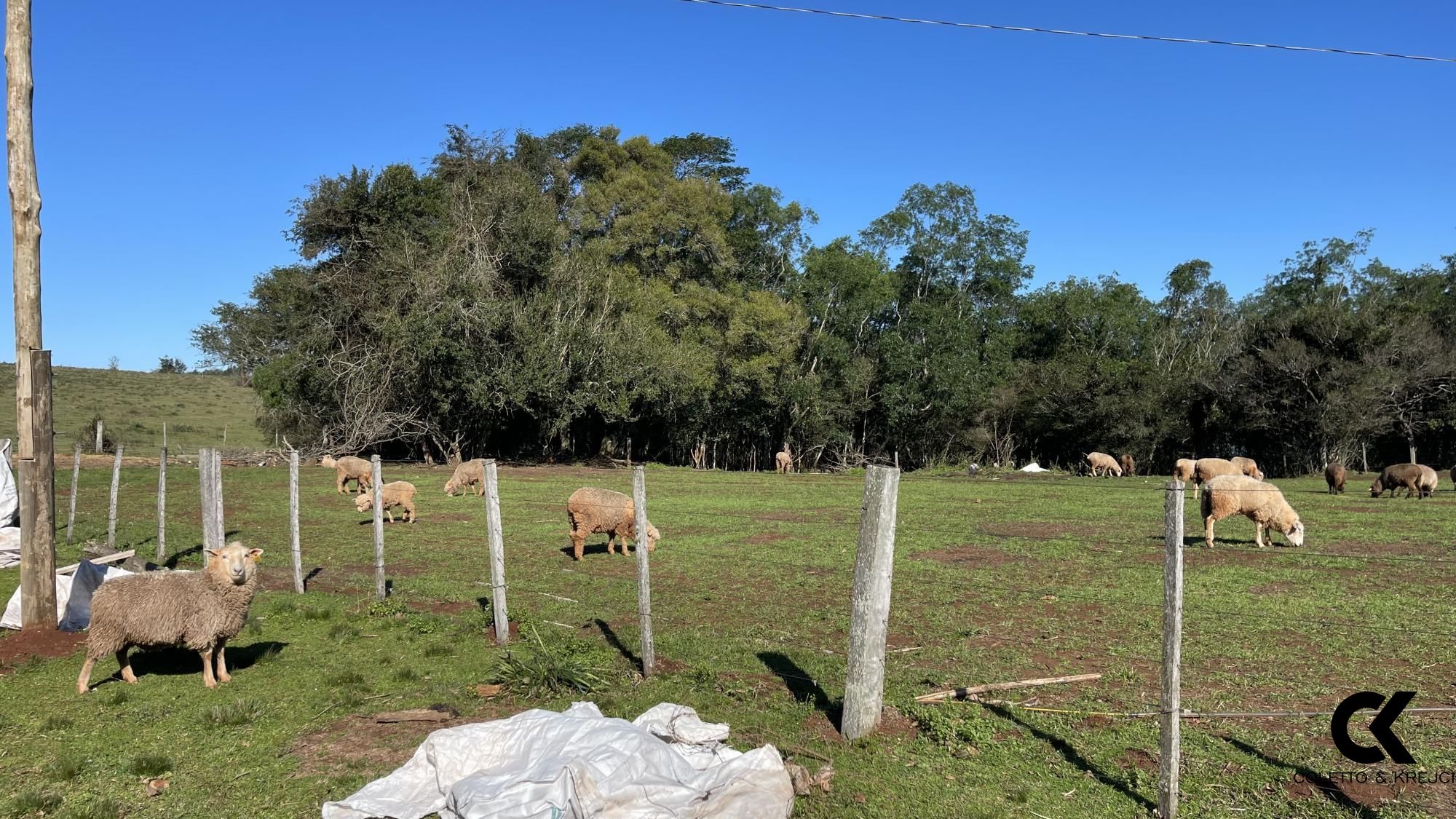 Loteamento e Condomínio à venda, 229000m² - Foto 33