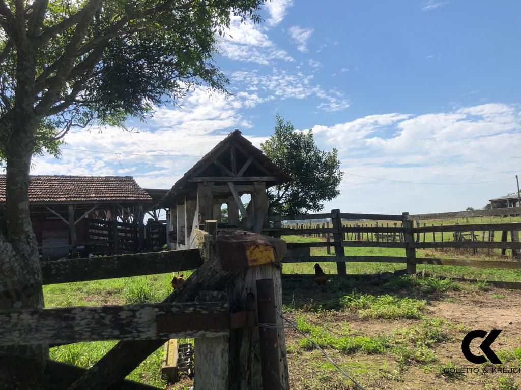 Fazenda à venda com 3 quartos, 32750000m² - Foto 21