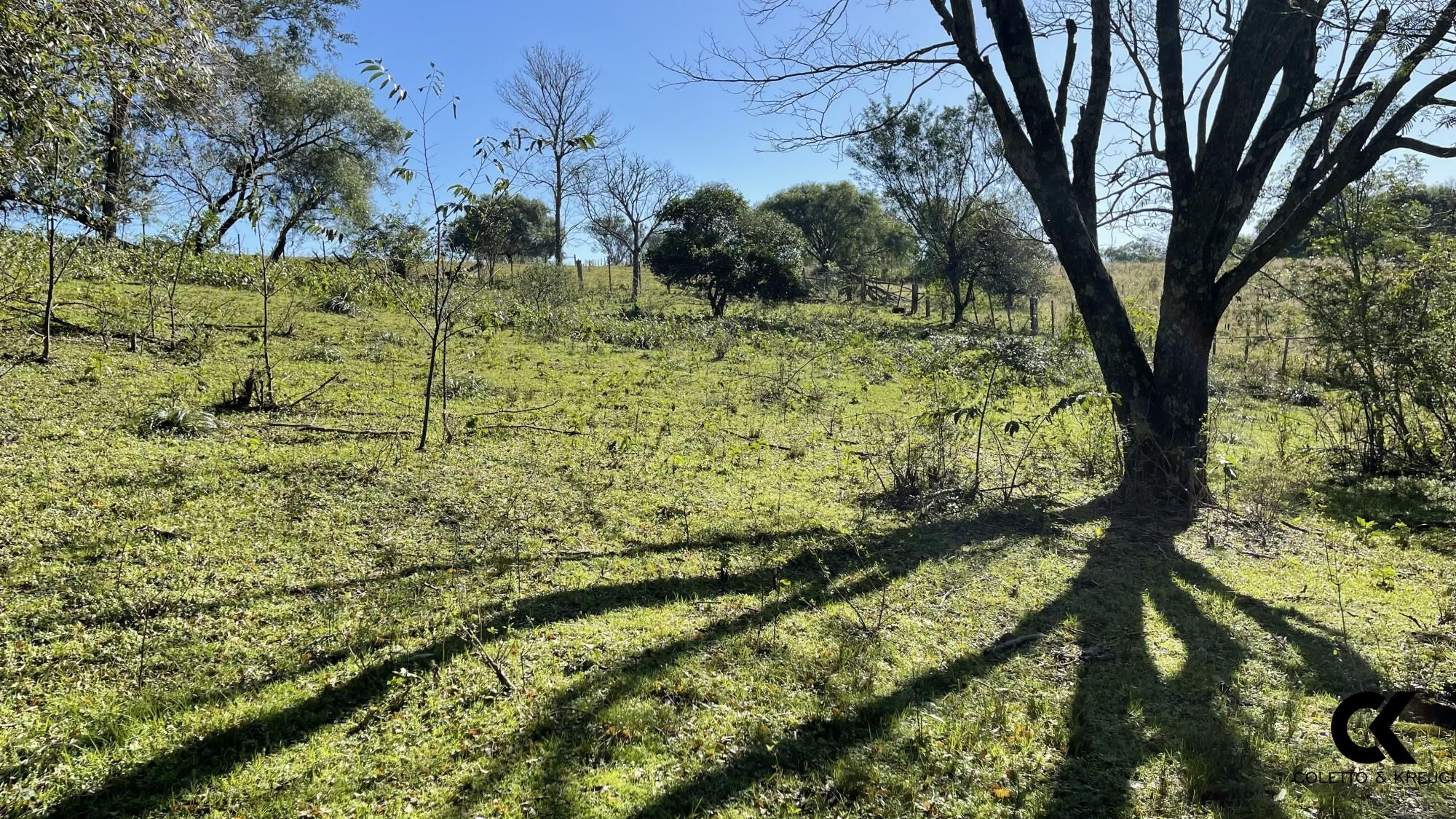 Loteamento e Condomínio à venda, 229000m² - Foto 46