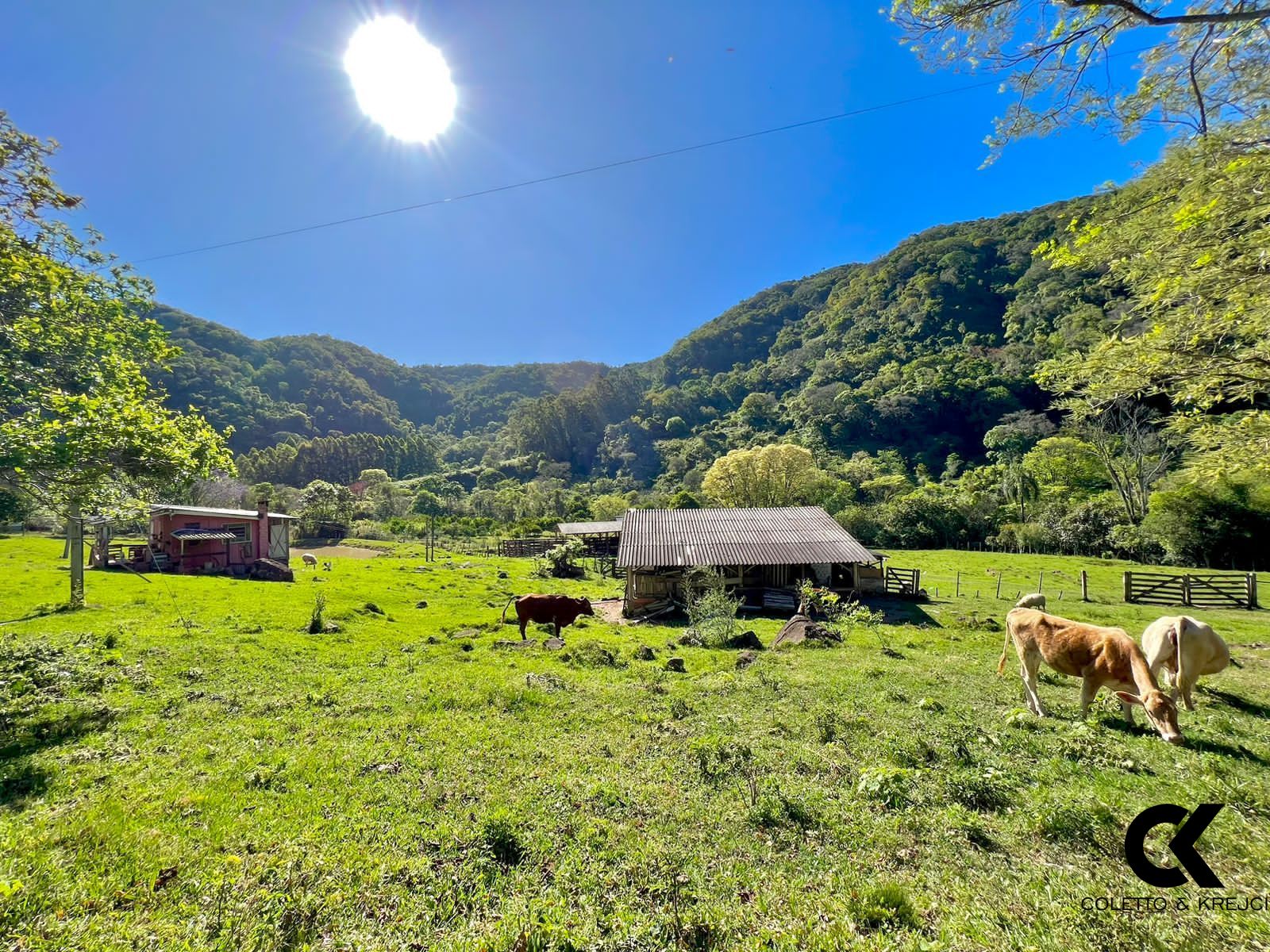 Sítio à venda com 10 quartos, 600m² - Foto 44