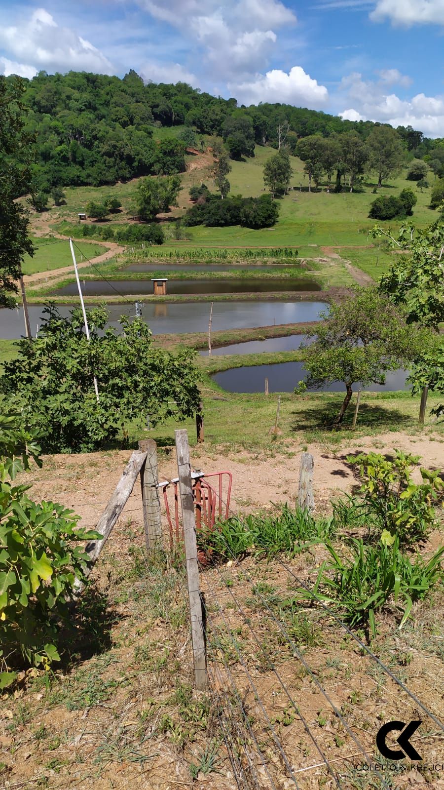 Fazenda à venda com 2 quartos, 42m² - Foto 11