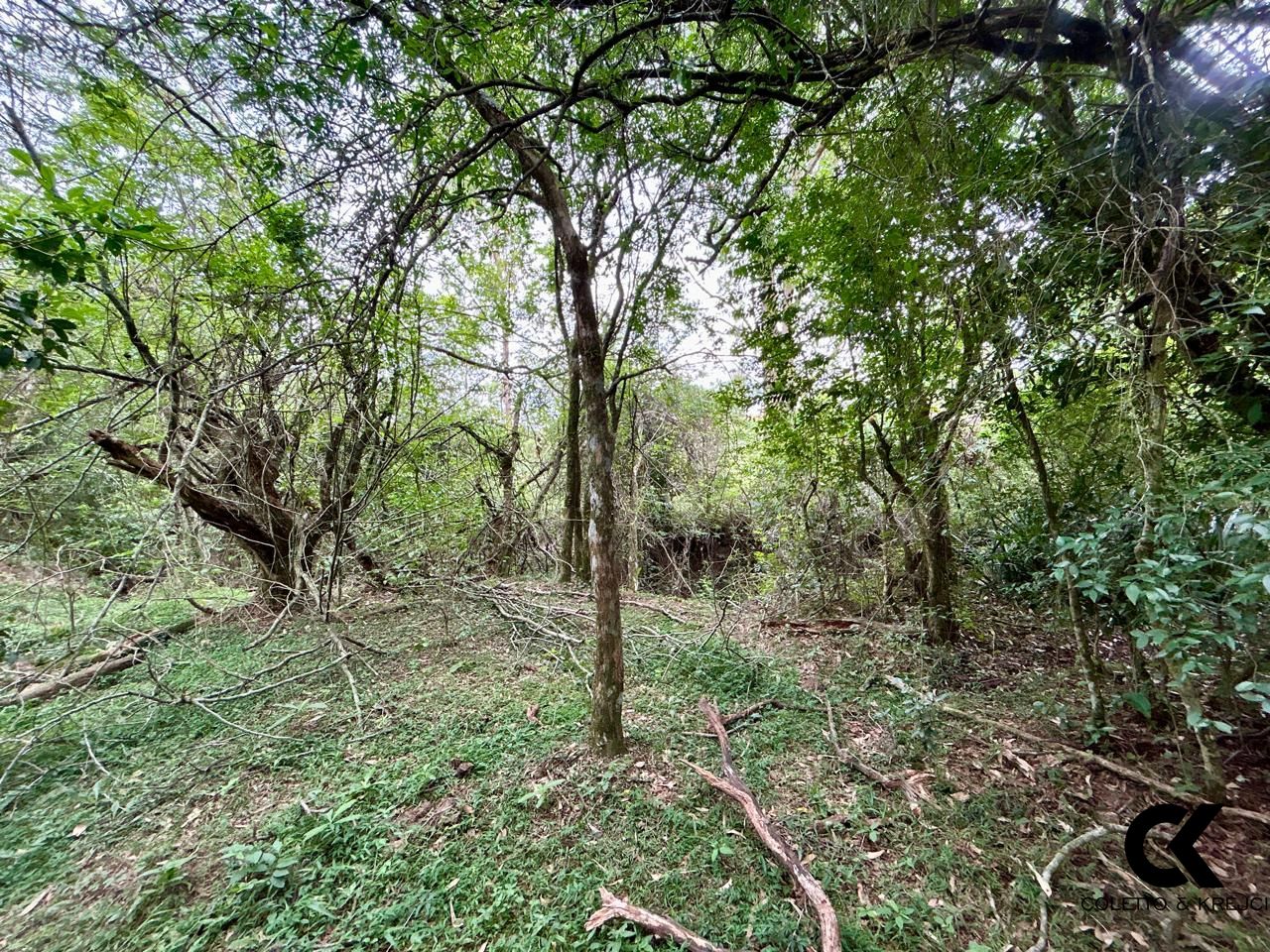 Fazenda à venda com 3 quartos, 15000m² - Foto 25