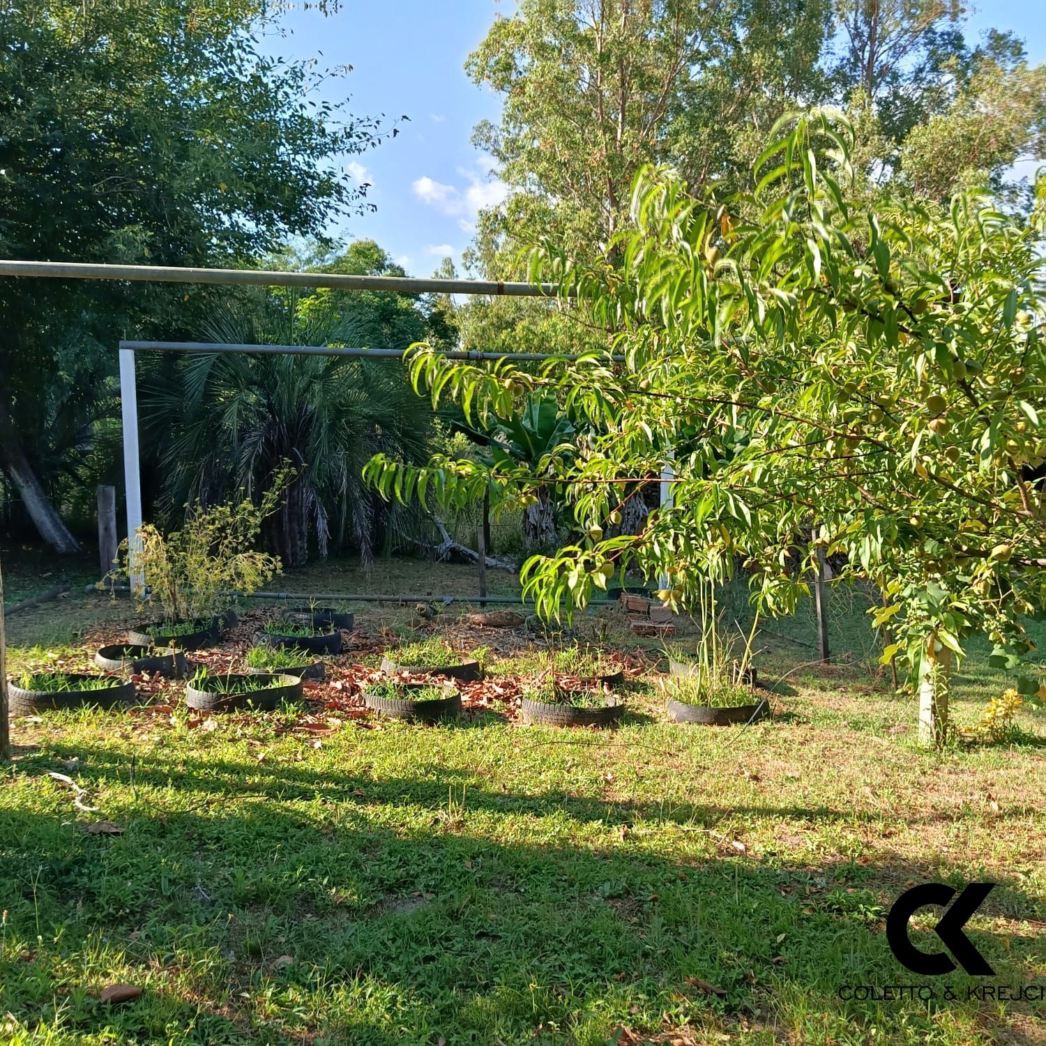 Sítio, 2 quartos, 2 hectares - Foto 13