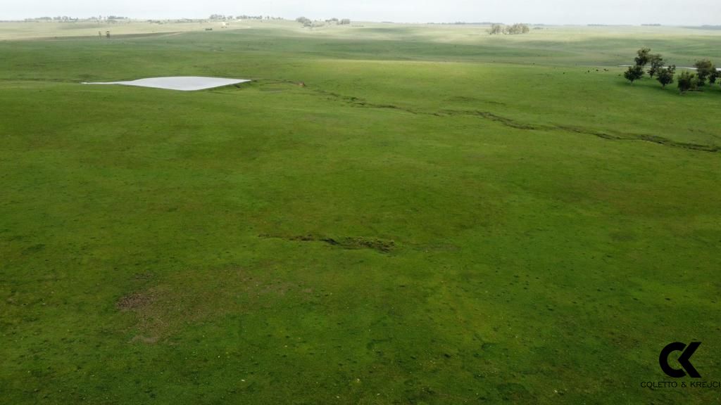 Fazenda, 3 hectares - Foto 1