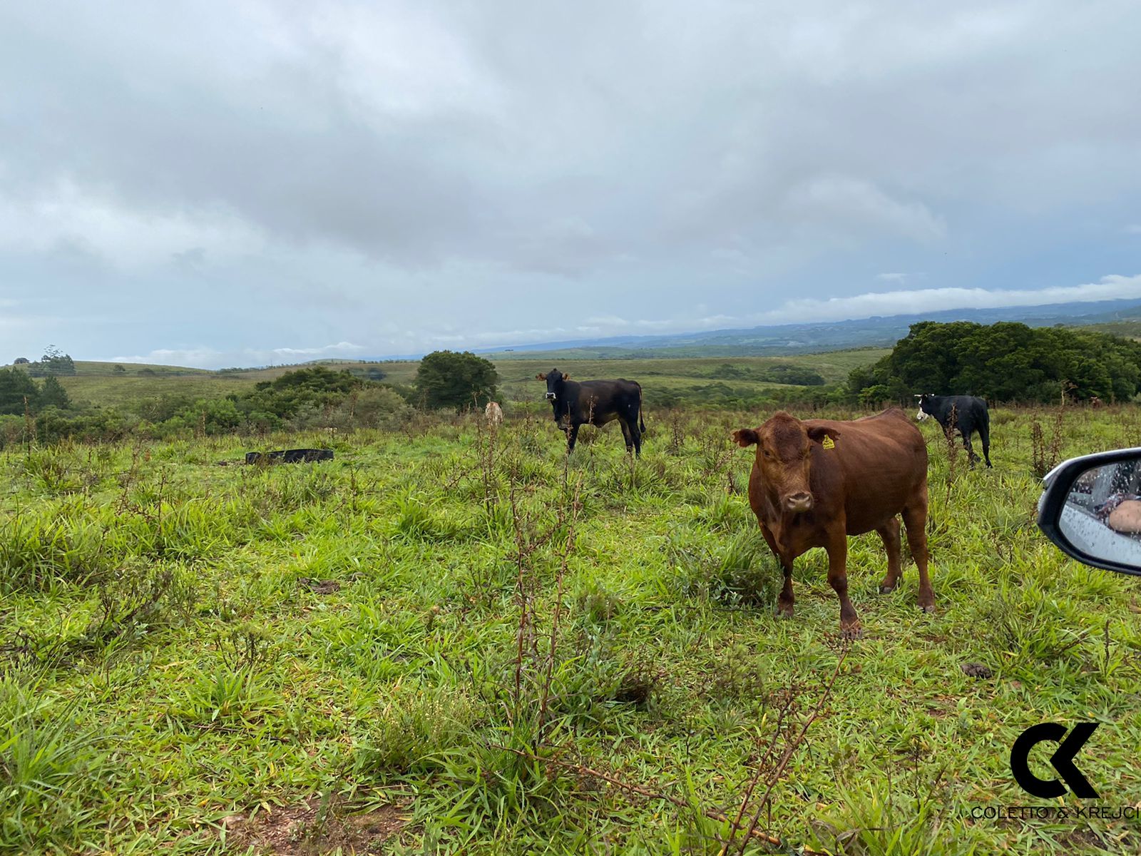 Fazenda à venda com 3 quartos, 5000000m² - Foto 4