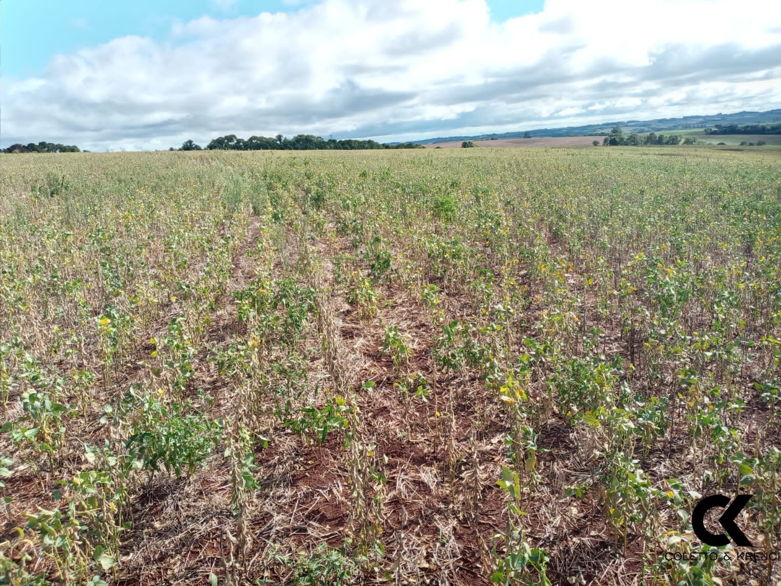 Fazenda à venda, 480000m² - Foto 3