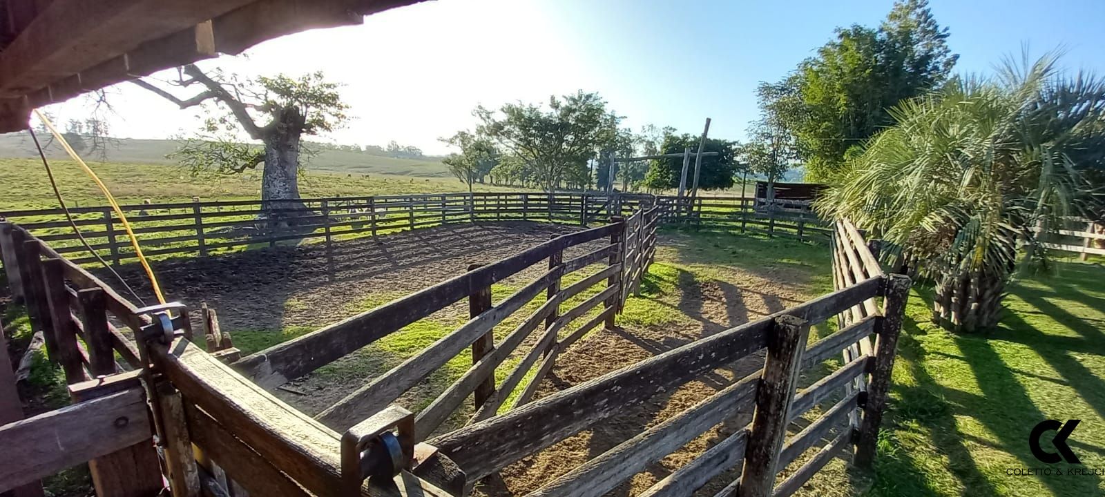 Fazenda à venda com 5 quartos, 700m² - Foto 19