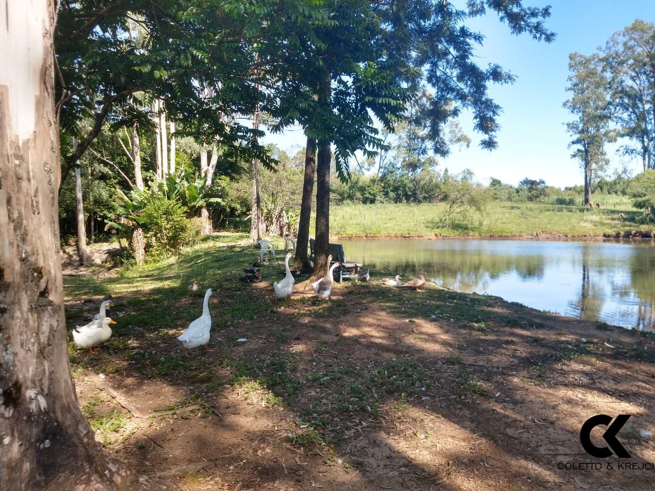 Fazenda à venda com 4 quartos, 480m² - Foto 18