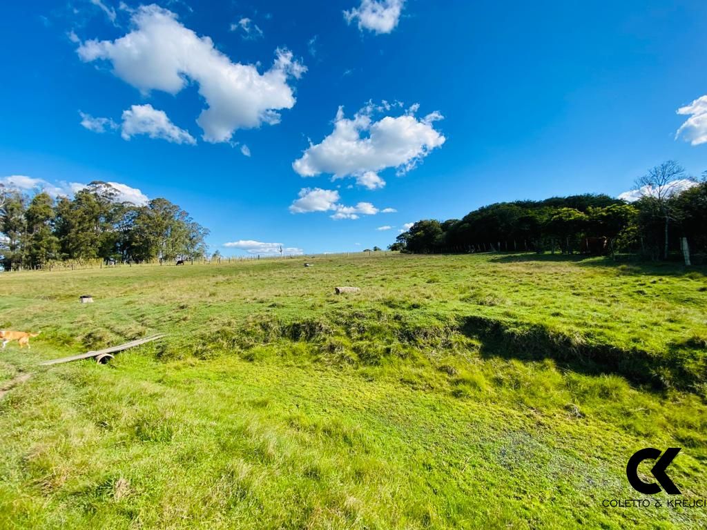 Fazenda à venda com 3 quartos, 195m² - Foto 3