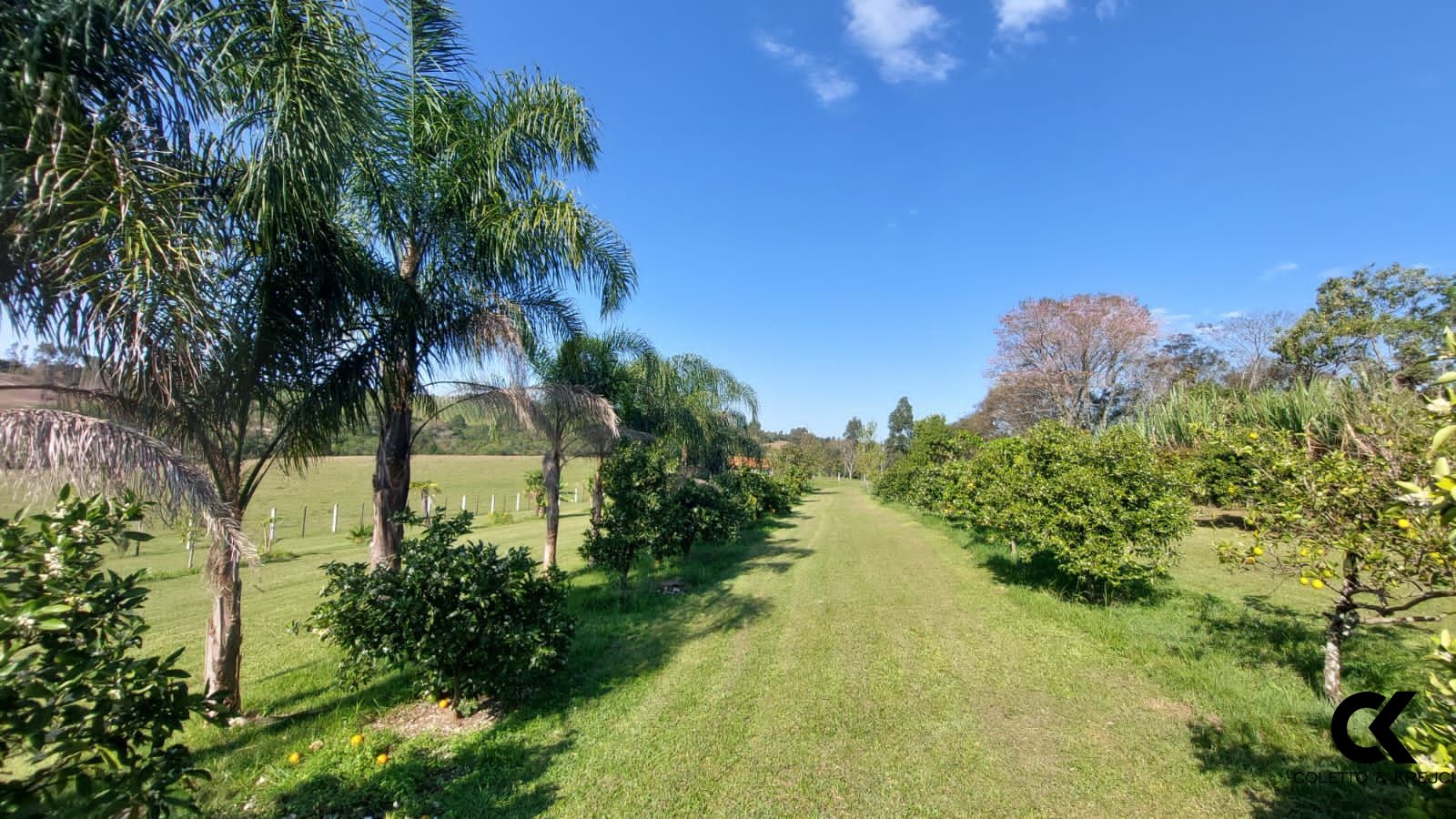 Fazenda à venda com 3 quartos, 250000000m² - Foto 6