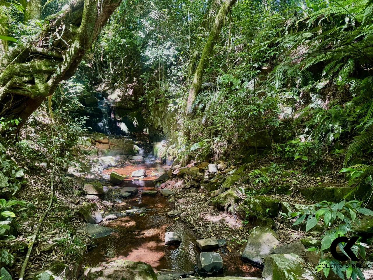 Chácara, 3 quartos, 3 hectares - Foto 10