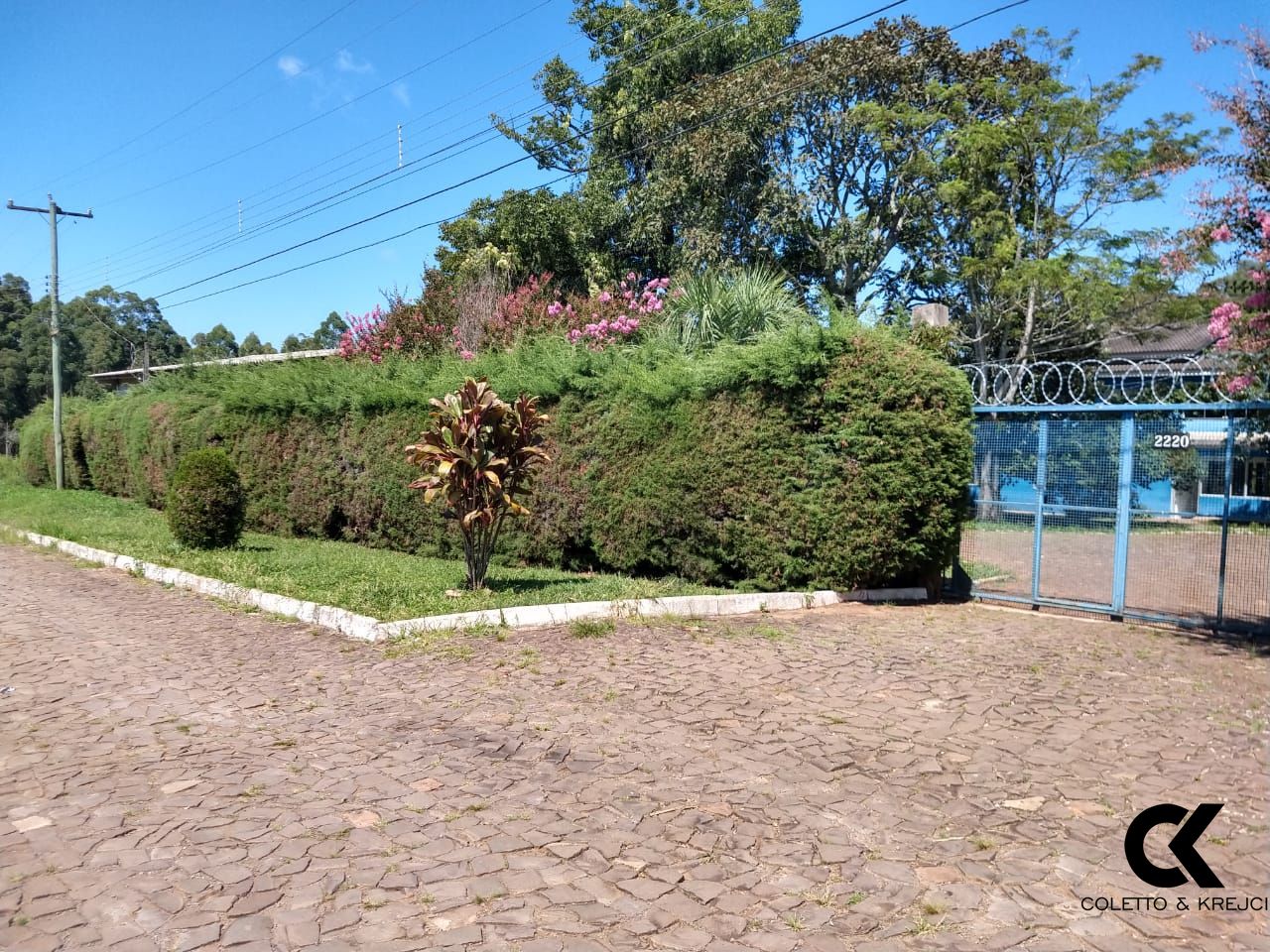 Fazenda à venda com 4 quartos, 480m² - Foto 23