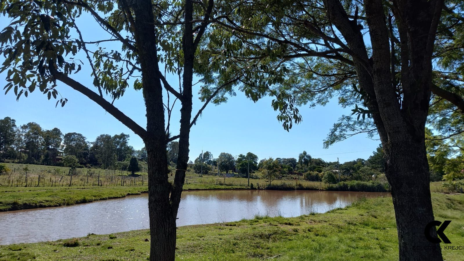 Fazenda à venda com 2 quartos, 40000m² - Foto 4