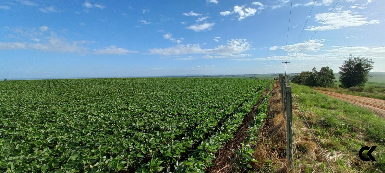 Fazenda à venda com 3 quartos, 20000000m² - Foto 2