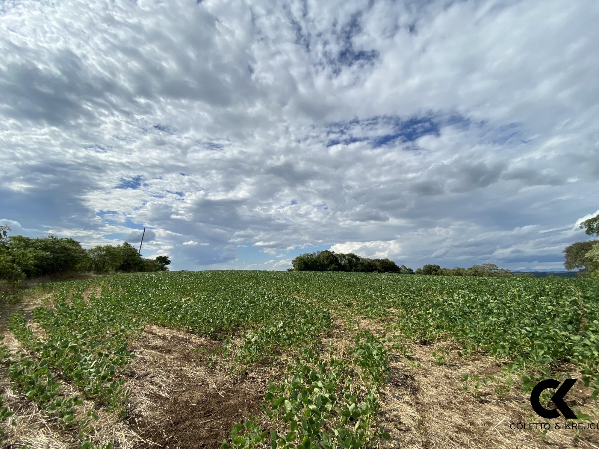 Loteamento e Condomínio à venda, 78000m² - Foto 4